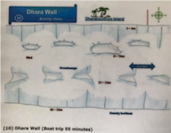 Dhara Wall